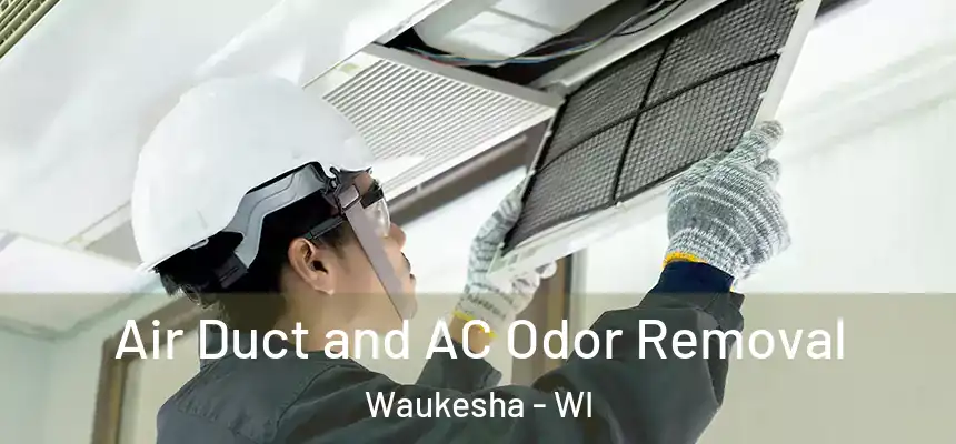 Air Duct and AC Odor Removal Waukesha - WI