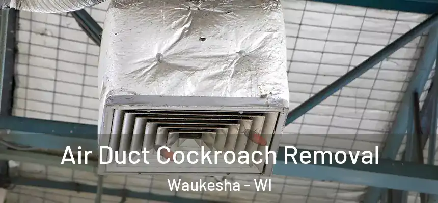  Air Duct Cockroach Removal Waukesha - WI