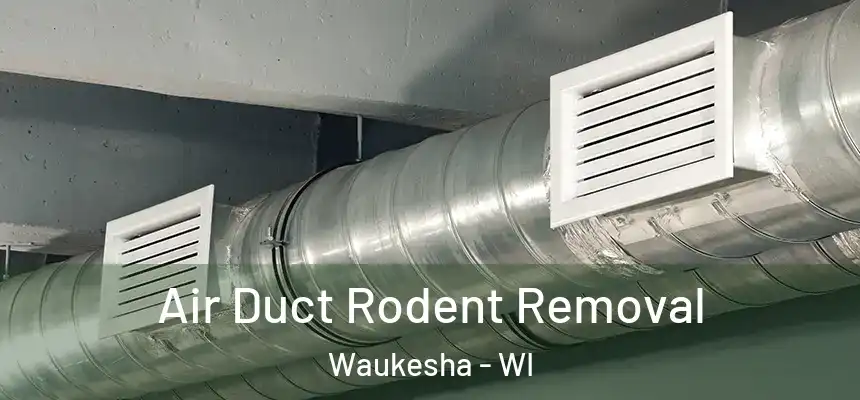  Air Duct Rodent Removal Waukesha - WI