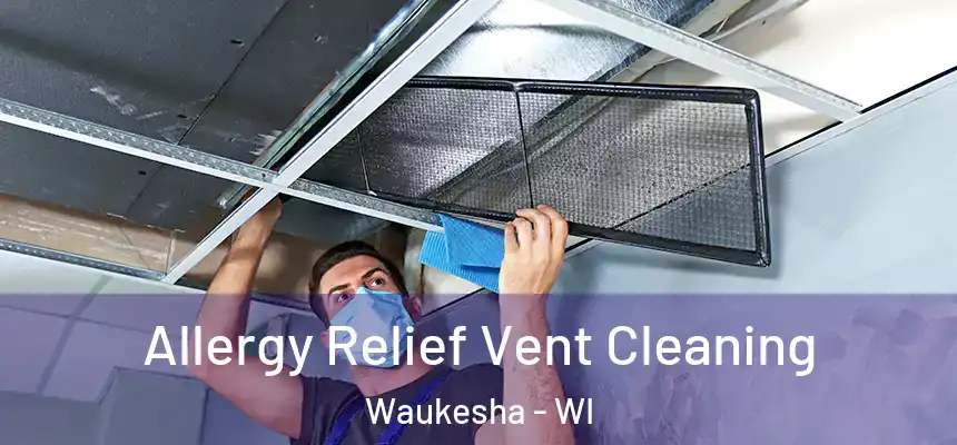 Allergy Relief Vent Cleaning Waukesha - WI