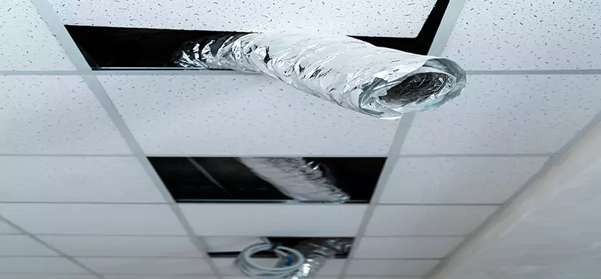 Our Air Duct Pet Hair Removal Services in Waukesha, WI