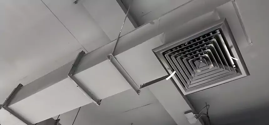 Our Rodent Droppings In Vents Services in Waukesha, WI