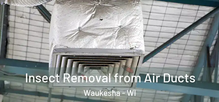 Insect Removal from Air Ducts Waukesha - WI