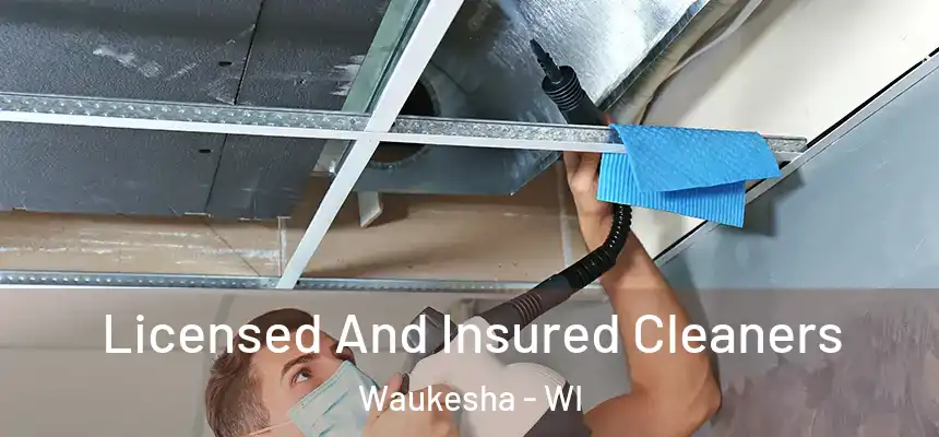 Licensed And Insured Cleaners Waukesha - WI