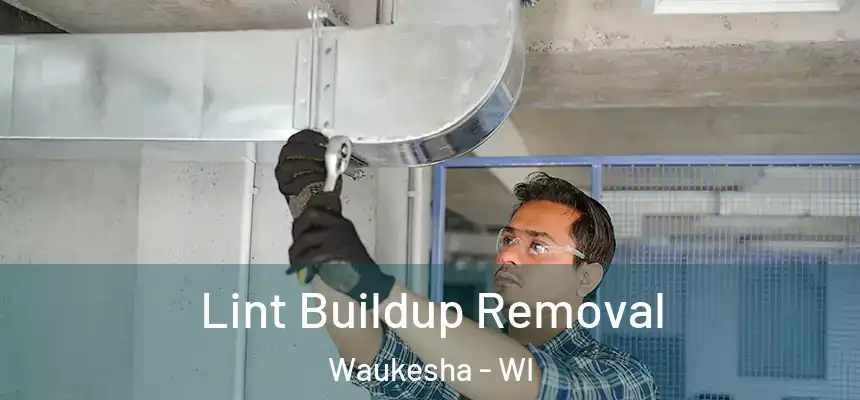 Lint Buildup Removal Waukesha - WI