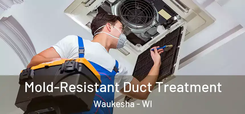  Mold-Resistant Duct Treatment Waukesha - WI