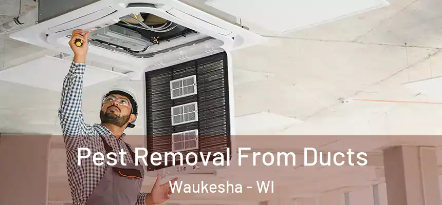 Pest Removal From Ducts Waukesha - WI