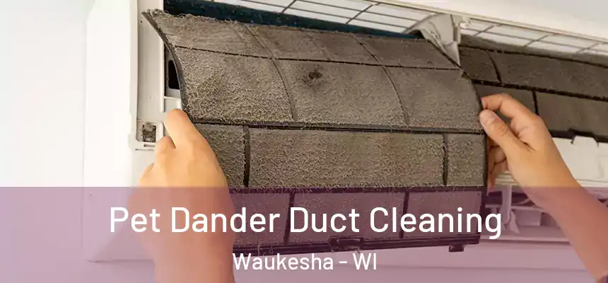 Pet Dander Duct Cleaning Waukesha - WI