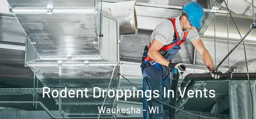 Rodent Droppings In Vents Waukesha - WI