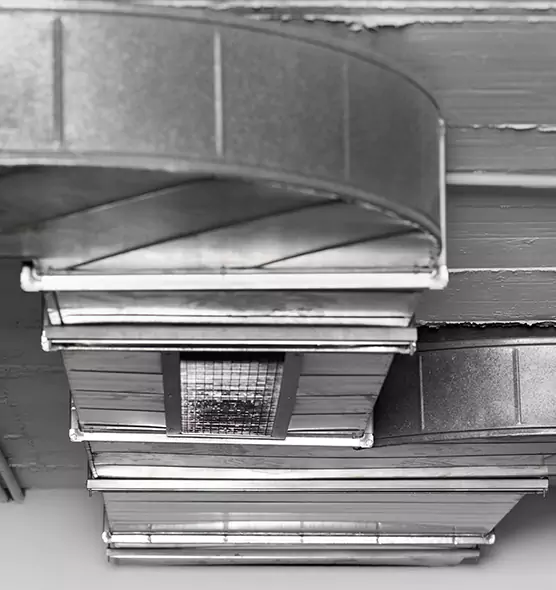 Professional Air Duct Pest Removal in Waukesha, WI