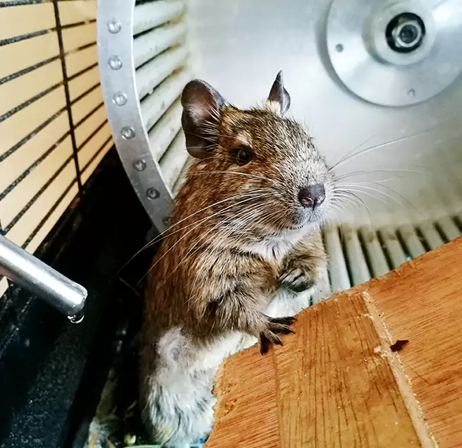 Why Homeowners & Businesses Trust Us Waukesha, WI