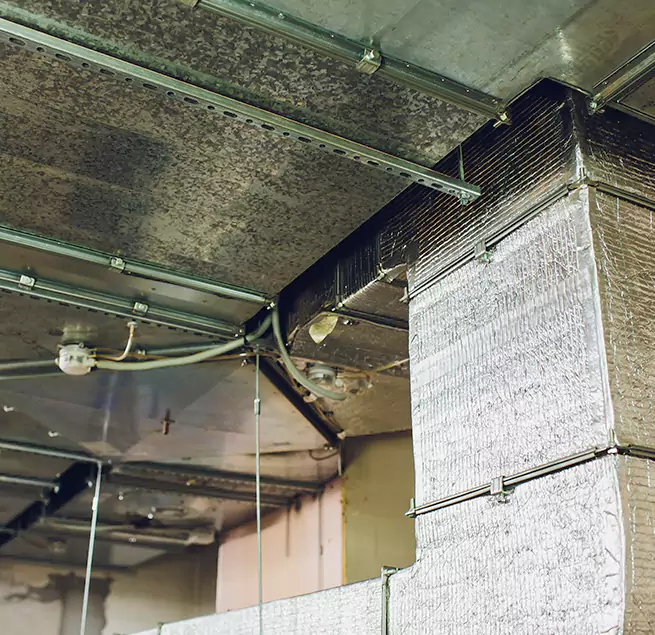 Why Homeowners & Businesses Trust Us in Waukesha, WI?